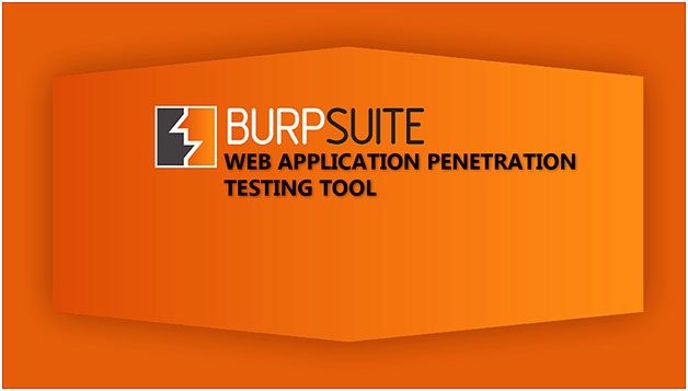 Burp Suite