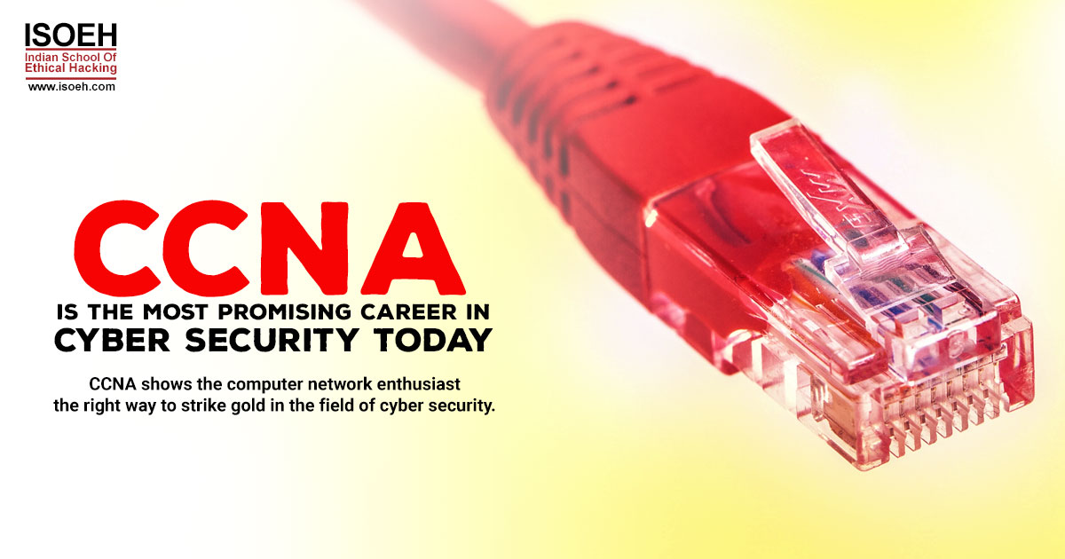 CCNA Is the Most Promising Career in Cyber Security Today
