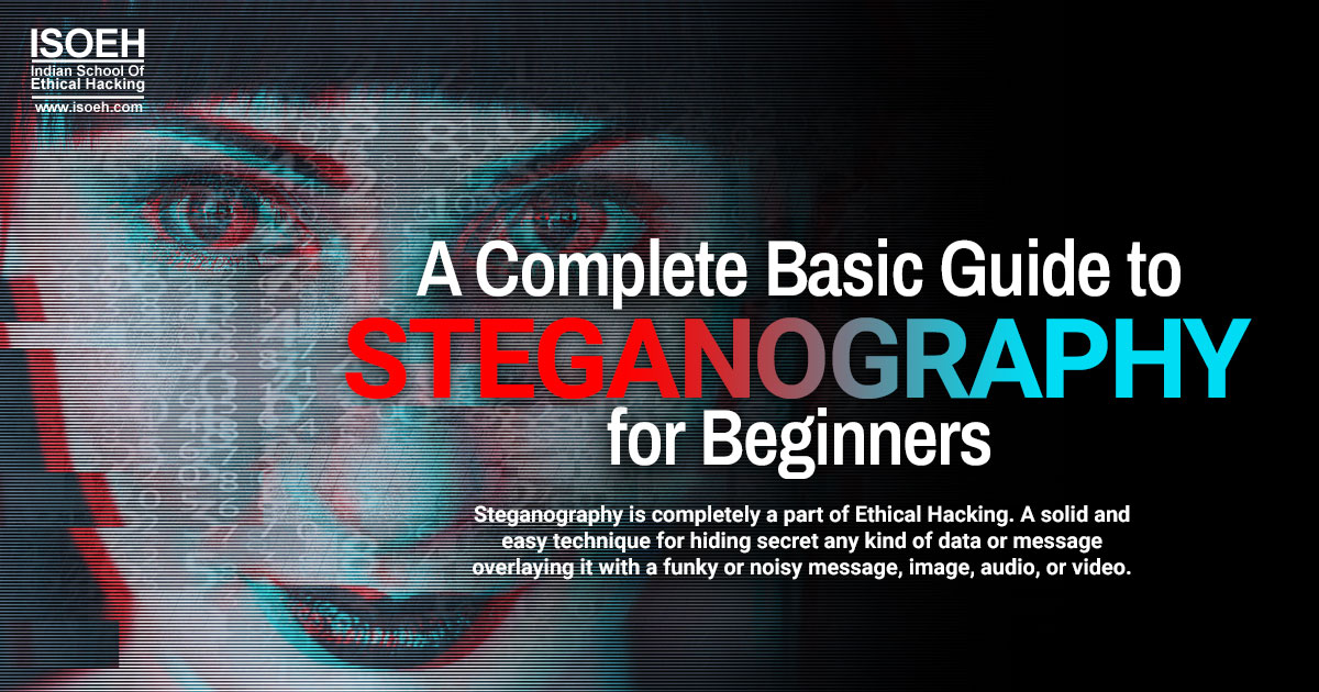 A Complete Basic Guide to Steganography for Beginners