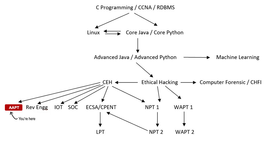 Android Application Penetration Testing Course Path