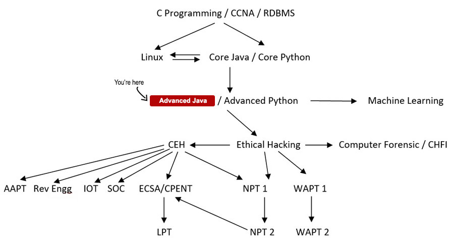 Industry Ready - Advanced Java Course Path