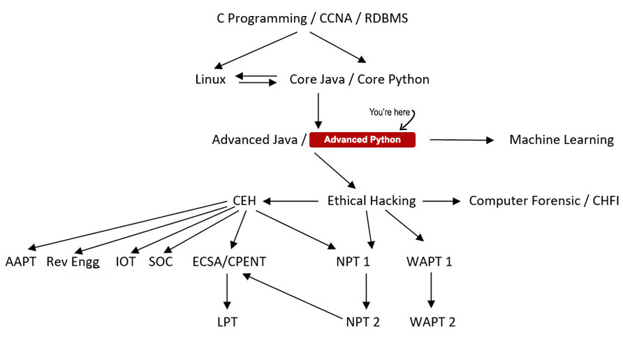 Advanced Python Programming Course Path