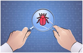 What is Bug Bounty Hunting?