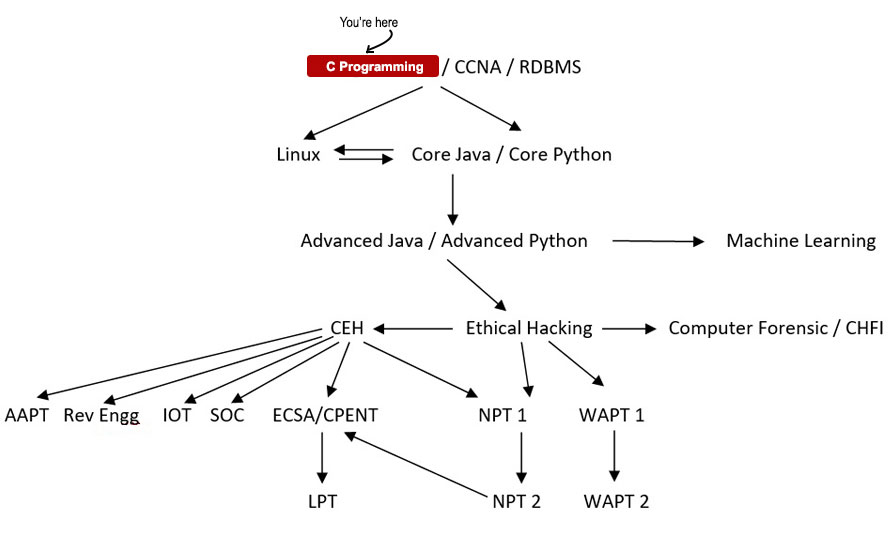 Industry Ready - C Programming Course Path