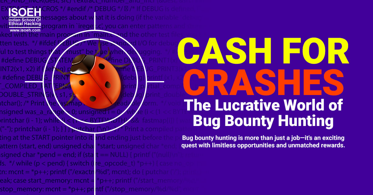 Cash for Crashes: The Lucrative World of Bug Bounty Hunting