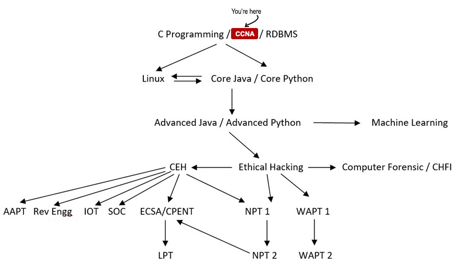 CCNA Essentials Course Path