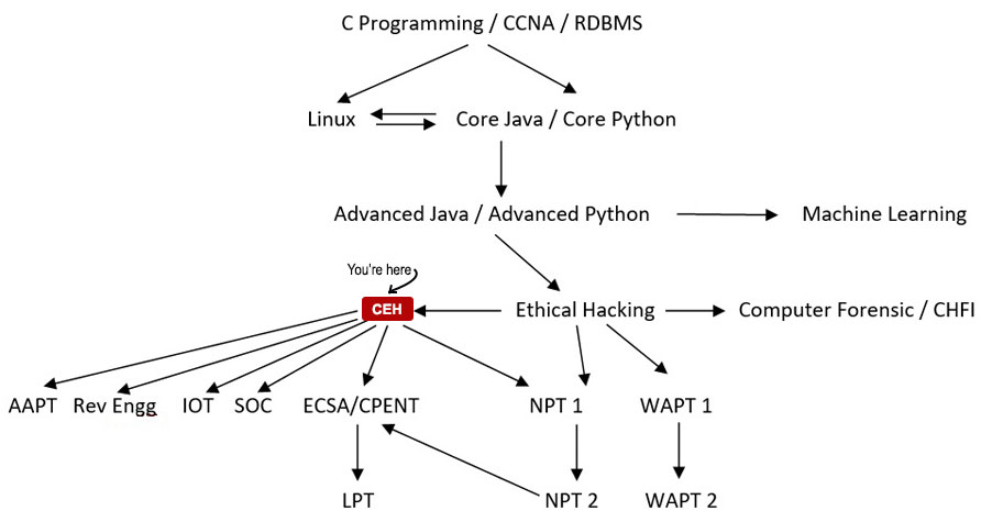 CEH Course Path