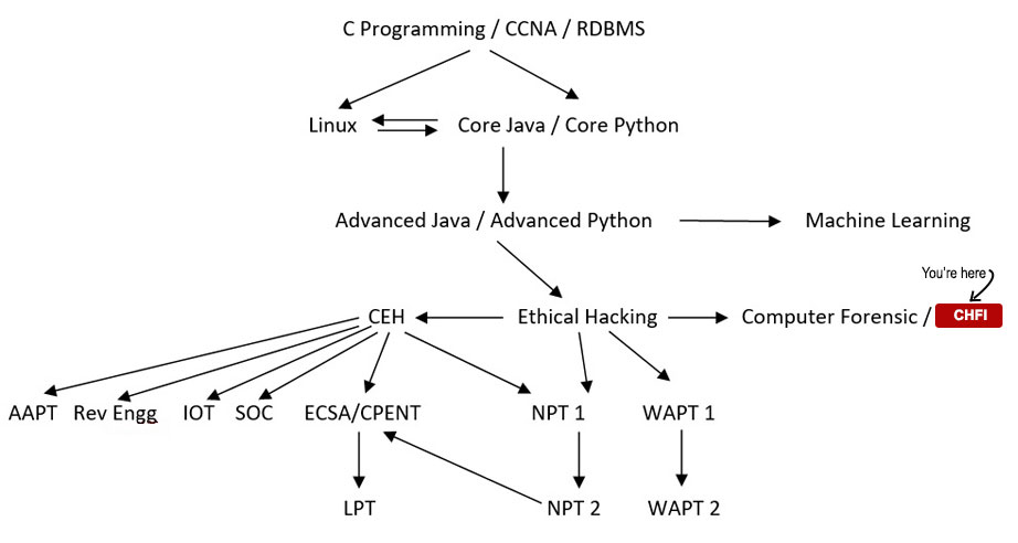 CHFI Course Path