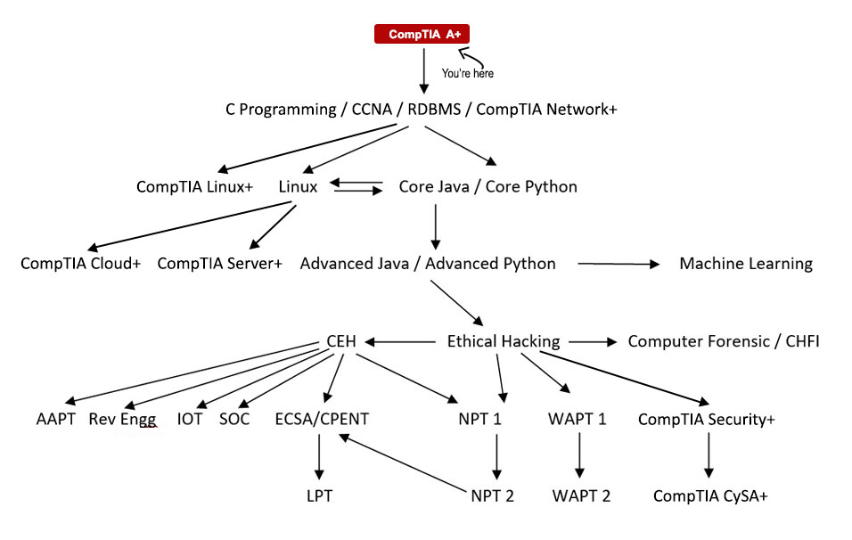 CompTIA A+ Course Path