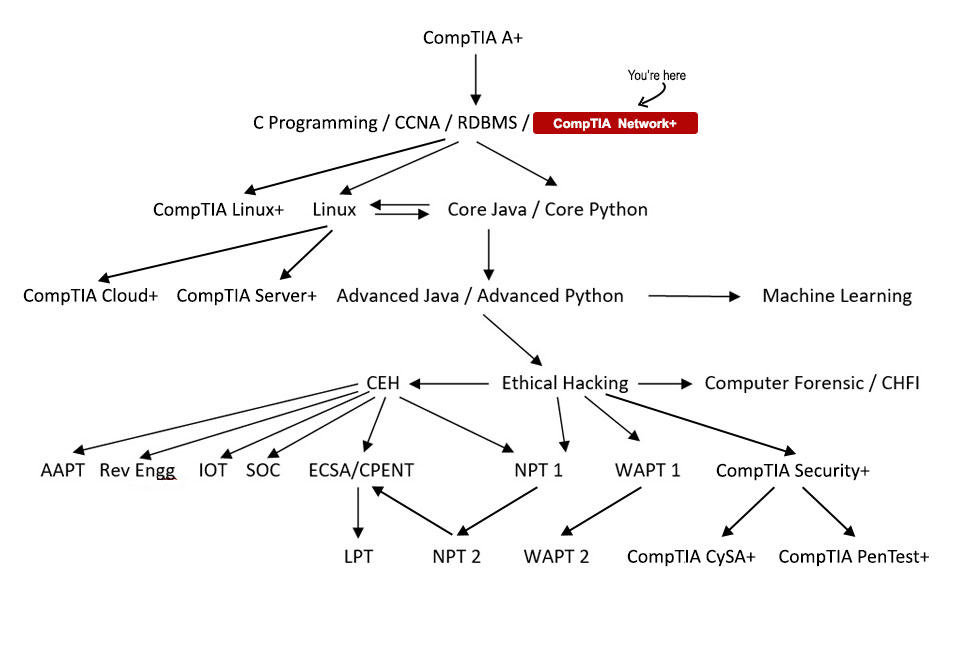 CompTIA Network+ Course Path