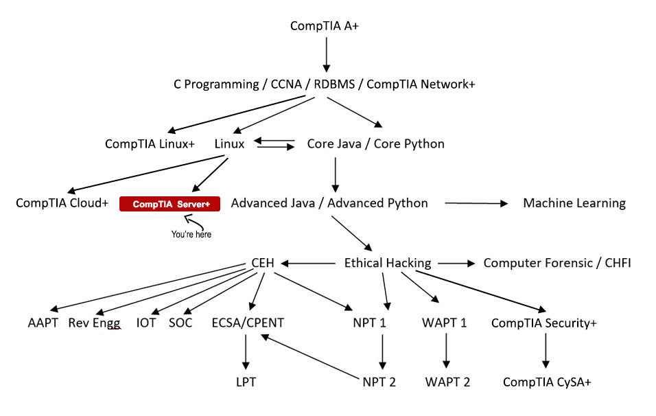 CompTIA Server+ Course Path