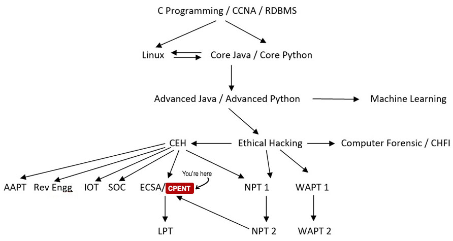 CPENT Course Path