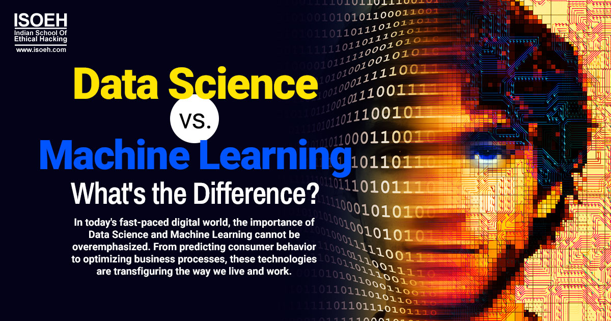 Data Science vs. Machine Learning: What's the Difference?