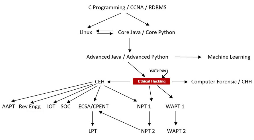 Ethical Hacking Course Path