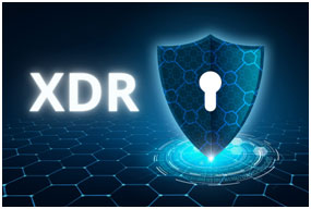 Extended Detection and Response (XDR)