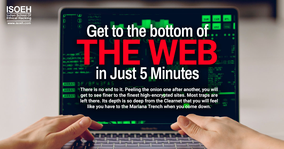 Get to The bottom of The Web in Just 5 Minutes
