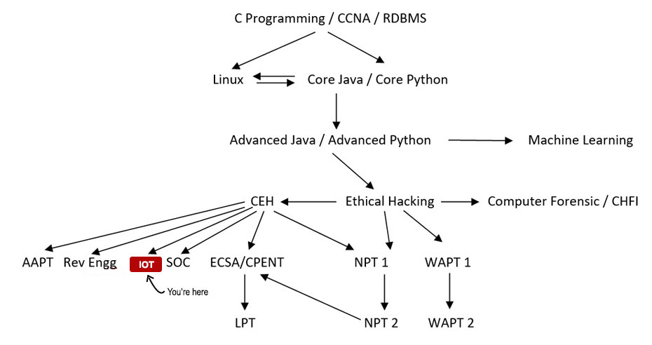 IOT Security Penetration Testing Course Path