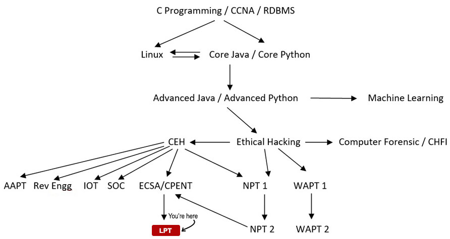 Licensed Penetration Tester Master