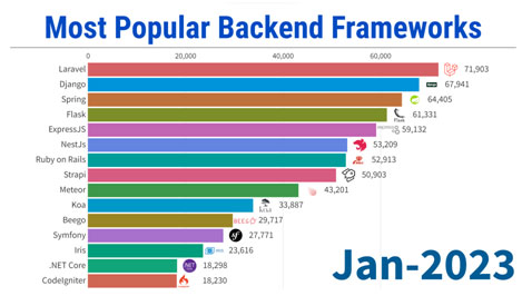 The Most Popular Framework Analysis 2023