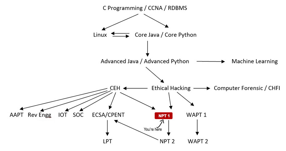 Network Penetration Testing Level I Course Path