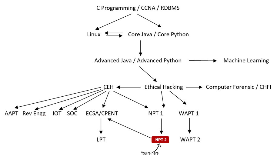 Network Penetration Testing Level II Course Path