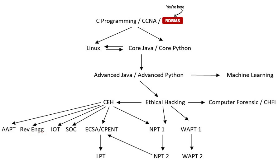 Industry Ready - RDBMS Course Path