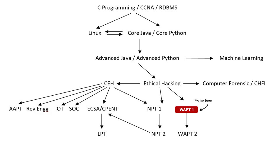 Web Application Penetration Testing Level I Course Path