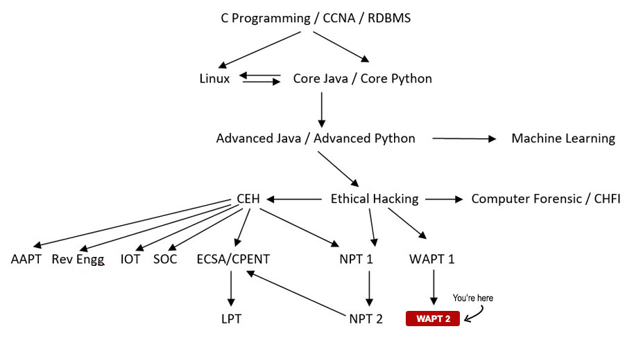 Web Application Penetration Testing Level II Course Path